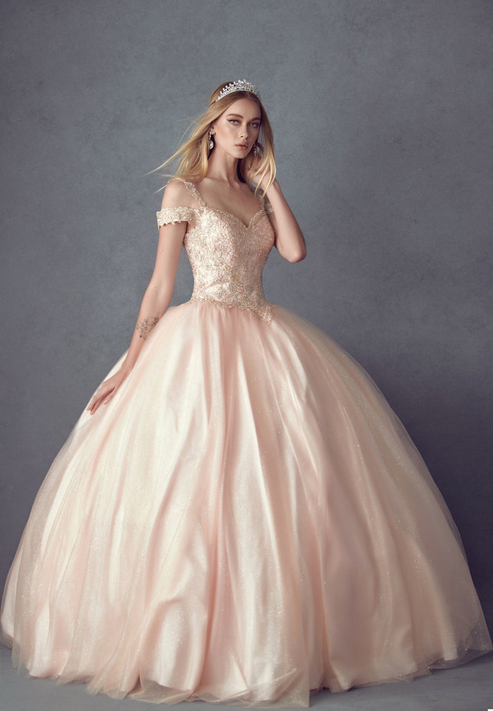 Juliet 1430 Cold Shoulder Embroidered Tulle Quinceanera Dress with Corset Back