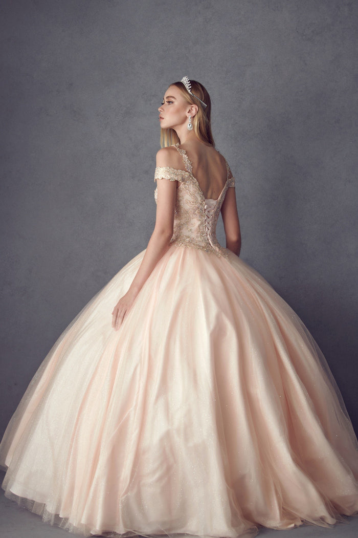 Juliet 1430 Cold Shoulder Embroidered Tulle Quinceanera Dress with Corset Back