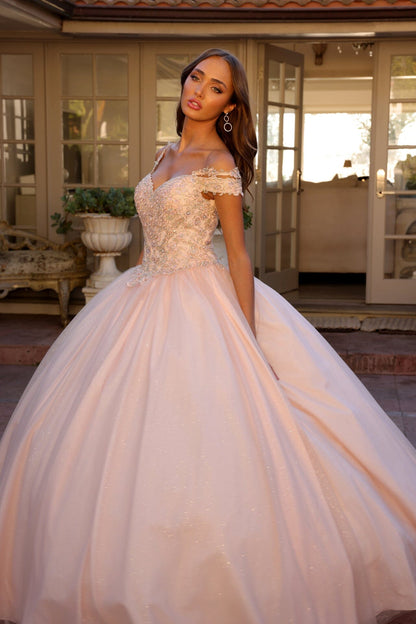 Juliet 1430 Cold Shoulder Embroidered Tulle Quinceanera Dress with Corset Back