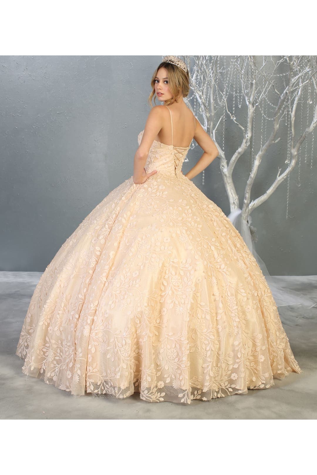 Embroidered Foliage Quinceanera Ball Gown