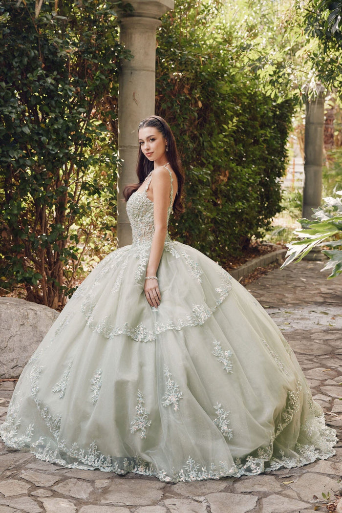 Juliet 1450J Embroidered Beaded Appliqué Glitter Tulle Corset Quinceanera Dress