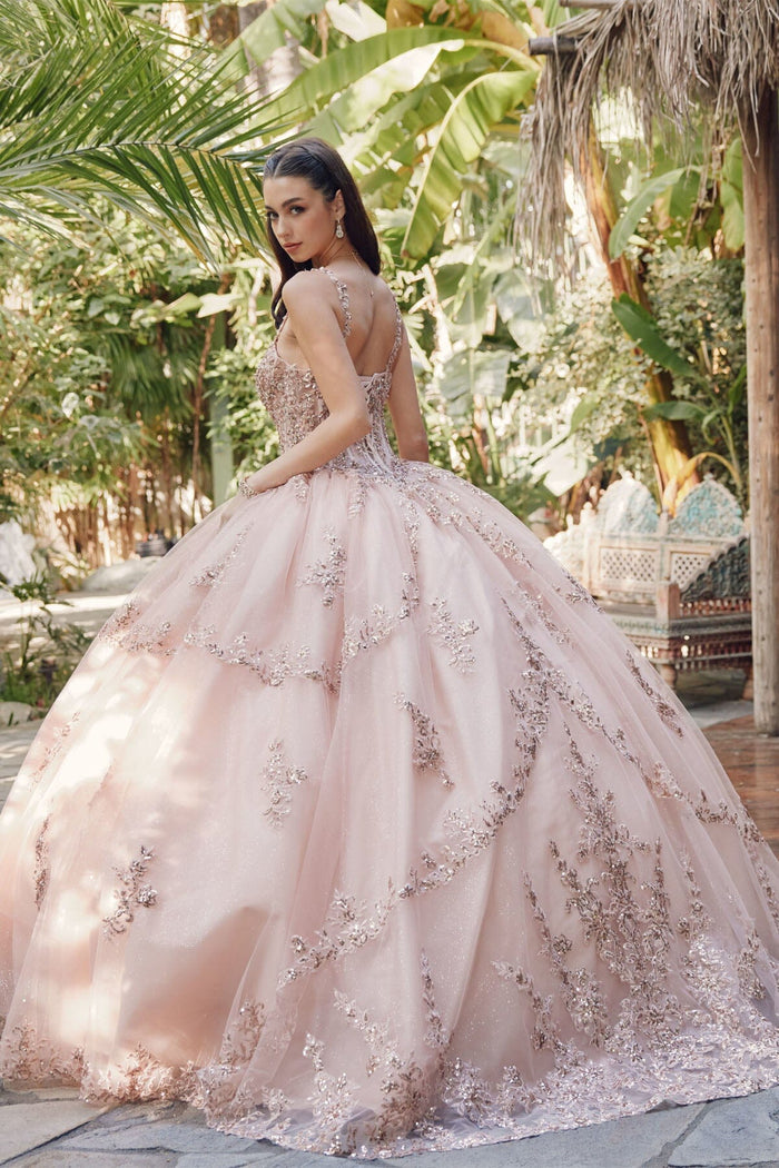 Juliet 1450J Embroidered Beaded Appliqué Glitter Tulle Corset Quinceanera Dress