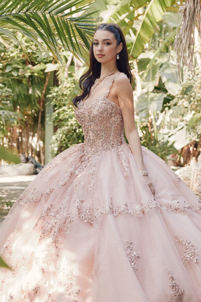 Juliet 1450J Embroidered Beaded Appliqué Glitter Tulle Corset Quinceanera Dress