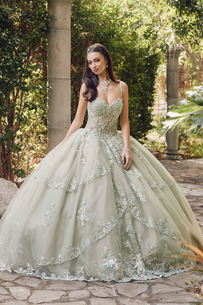 Juliet 1450J Embroidered Beaded Appliqué Glitter Tulle Corset Quinceanera Dress
