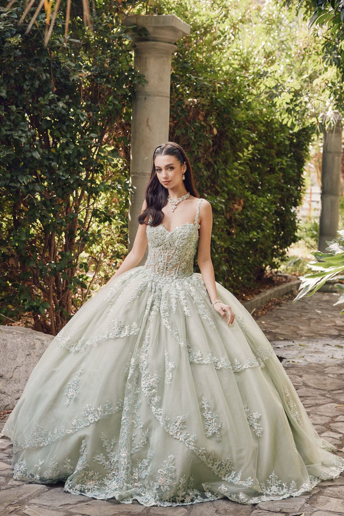 Juliet 1450J Embroidered Beaded Appliqué Glitter Tulle Corset Quinceanera Dress