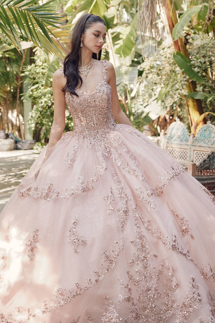 Juliet 1450J Embroidered Beaded Appliqué Glitter Tulle Corset Quinceanera Dress