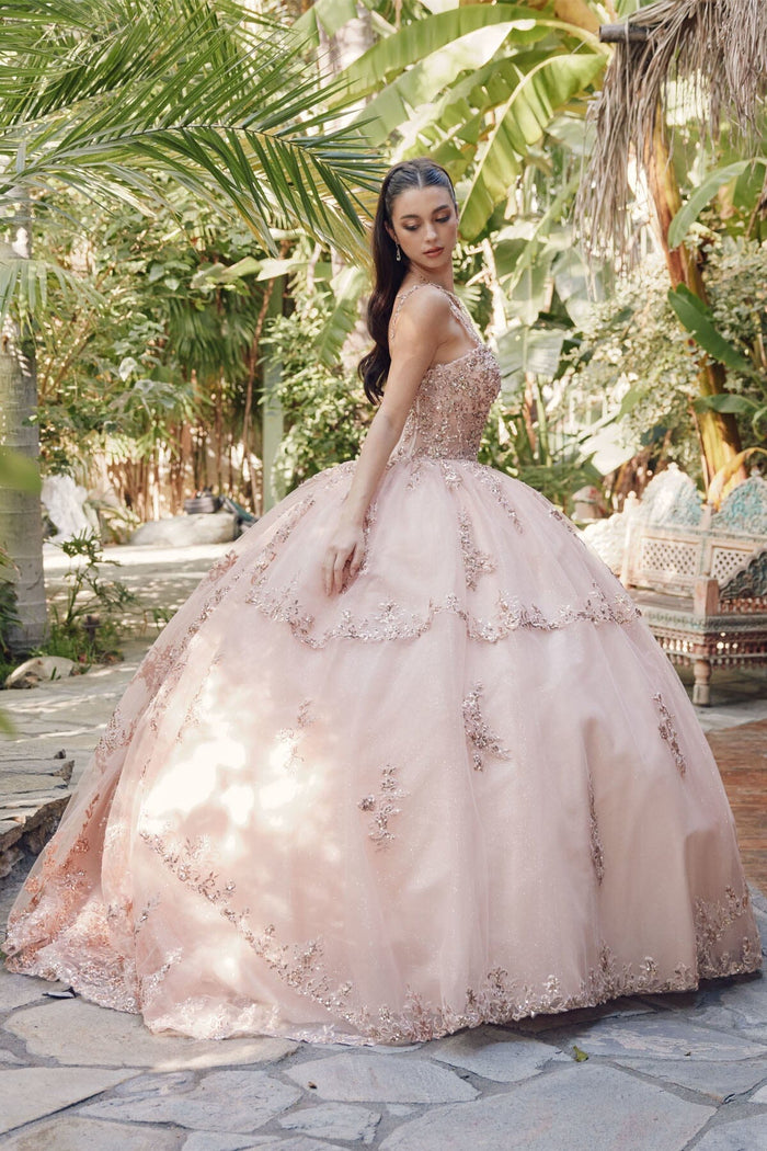 Juliet 1450J Embroidered Beaded Appliqué Glitter Tulle Corset Quinceanera Dress