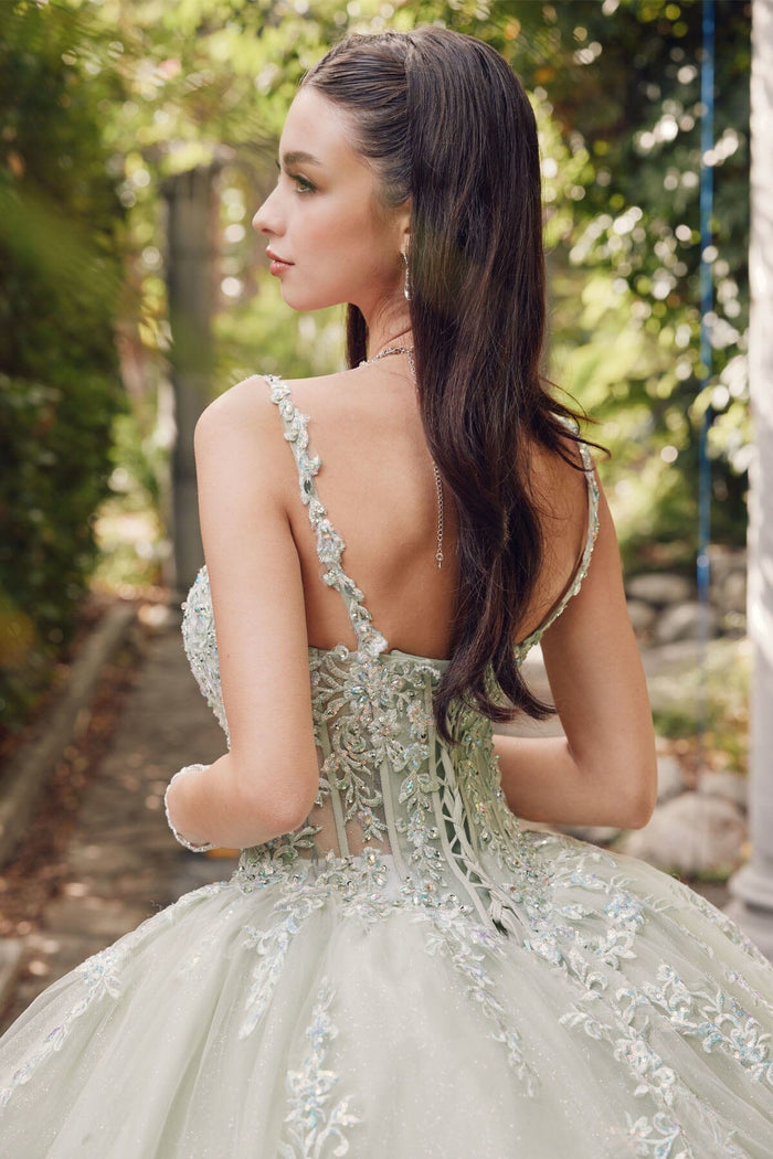 Juliet 1450J Embroidered Beaded Appliqué Glitter Tulle Corset Quinceanera Dress