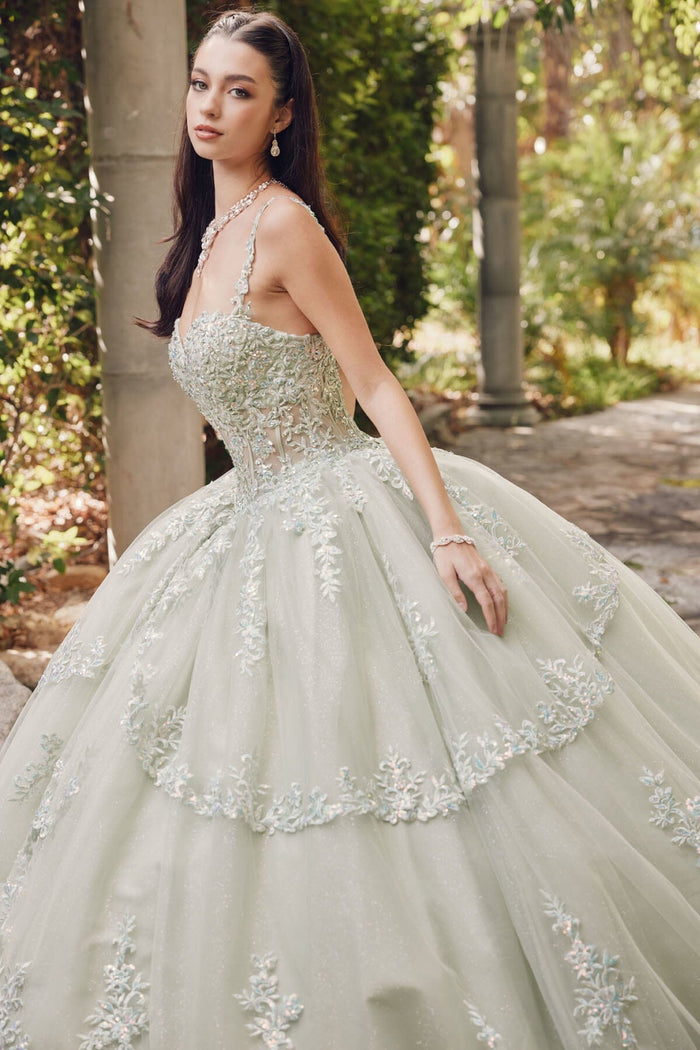Juliet 1450J Embroidered Beaded Appliqué Glitter Tulle Corset Quinceanera Dress