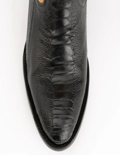 Ferrini Nash - Ostrich Leg