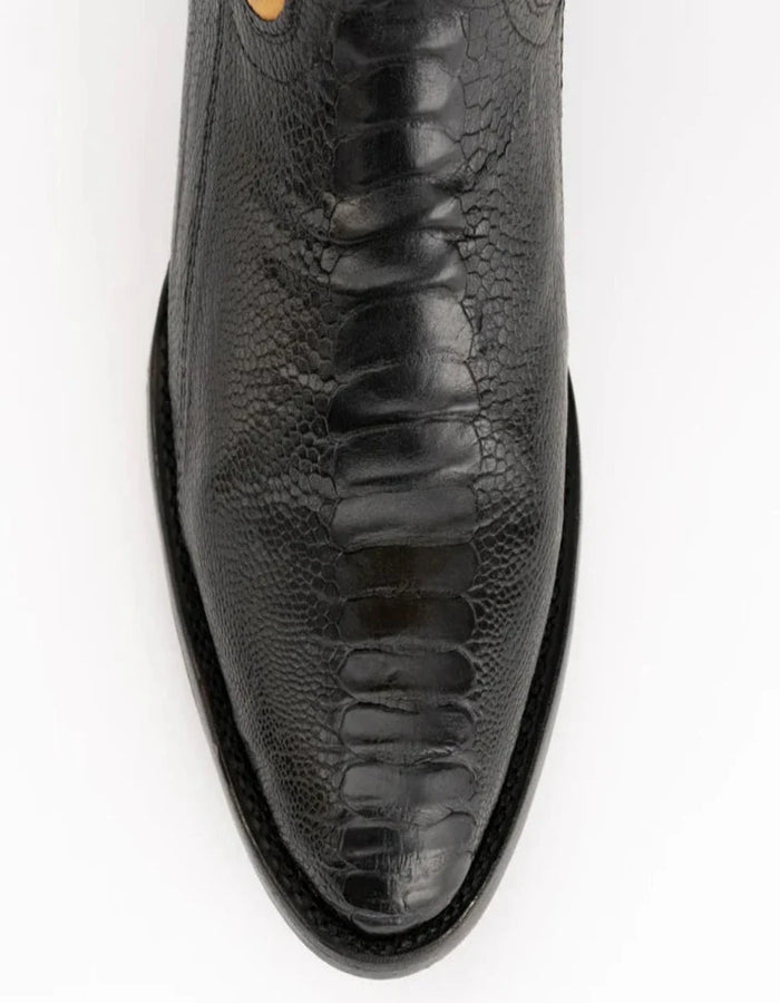 Ferrini Nash - Ostrich Leg