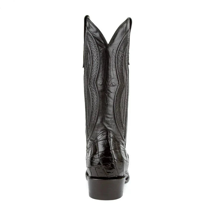 Ferrini Stallion - American Alligator