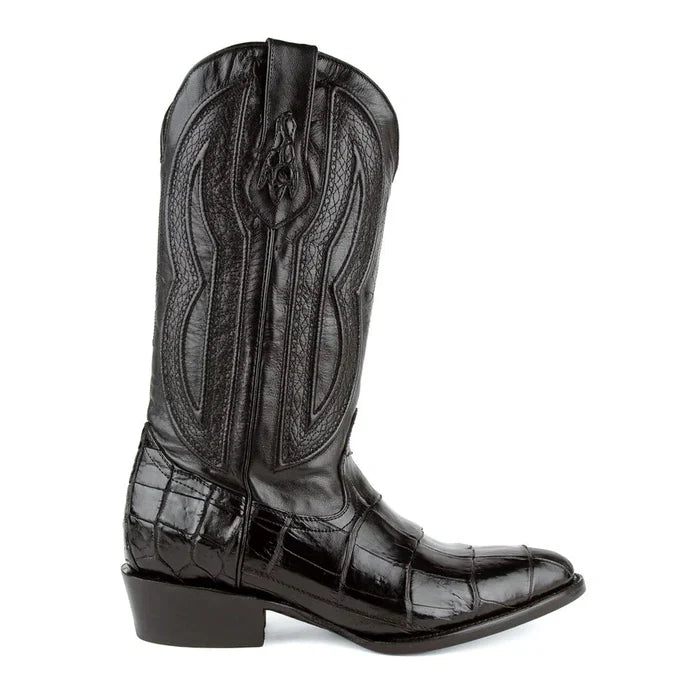 Ferrini Stallion - American Alligator