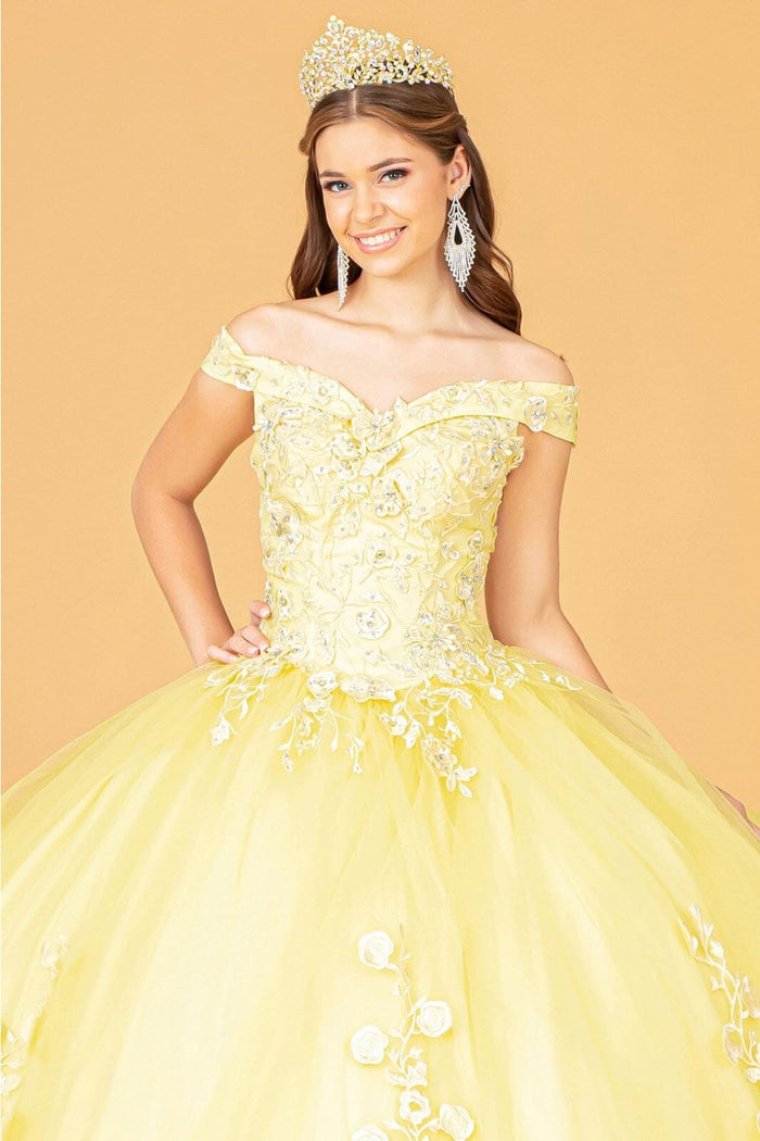 Floral Embroidered Ball Gown by Elizabeth K GL2802