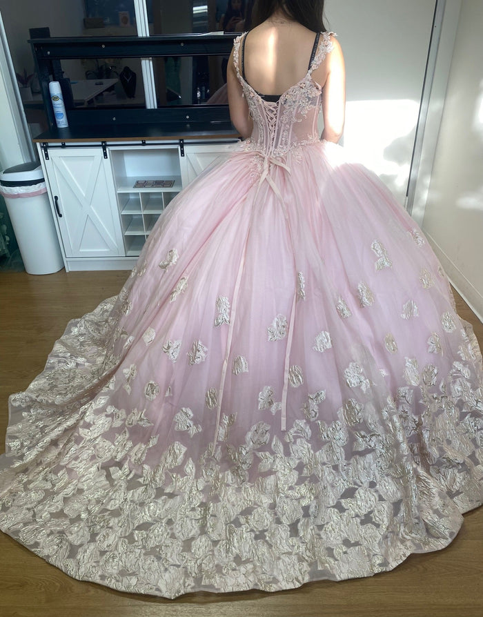 Layla K LK256 Sheer Bodice Floral Sleeveless Blush Quinceanera Gown