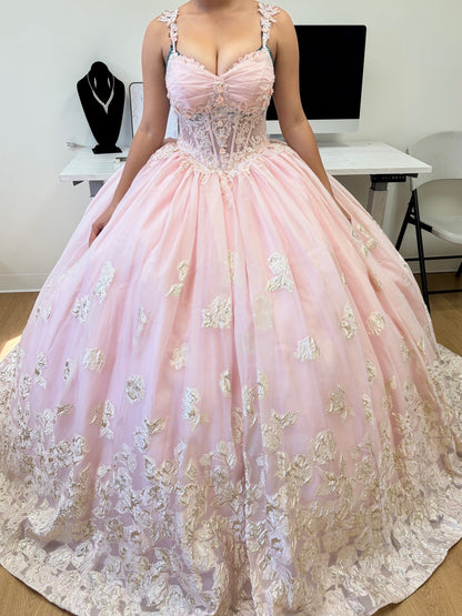 Layla K LK256 Sheer Bodice Floral Sleeveless Blush Quinceanera Gown