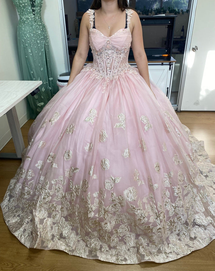 Layla K LK256 Sheer Bodice Floral Sleeveless Blush Quinceanera Gown