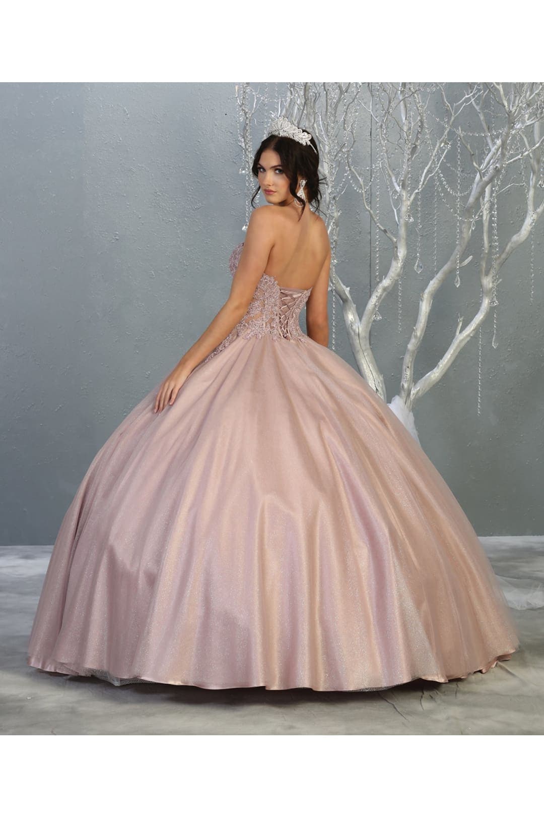 Sweet 16/15 Ball Gown And Plus Size