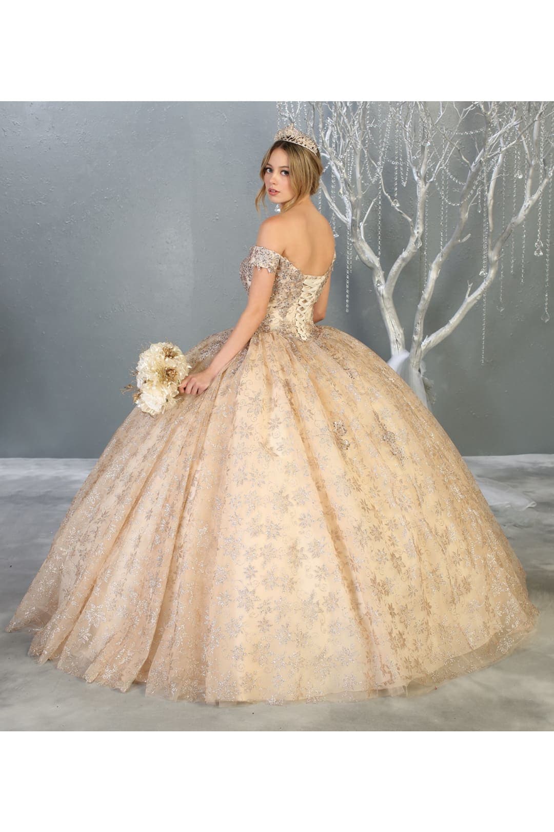 Princess Quinceanera Ball Gown And Plus Size
