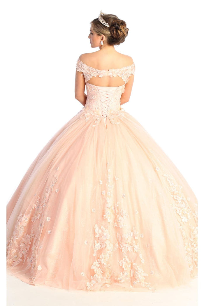Layla K LK160 Floral Embroidered Glitter Sweet 16 Quince Ball Gown
