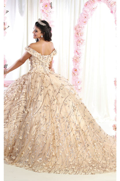 3D Floral Applique Glitter Quince Ball Gown & Plus Size