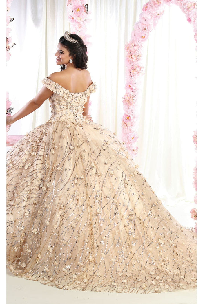 3D Floral Applique Glitter Quince Ball Gown & Plus Size