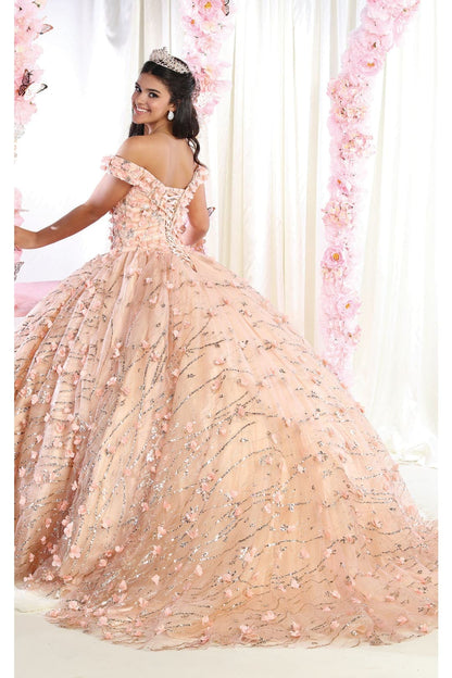 3D Floral Applique Glitter Quince Ball Gown & Plus Size