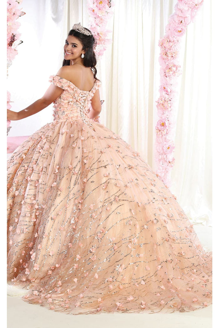 3D Floral Applique Glitter Quince Ball Gown & Plus Size
