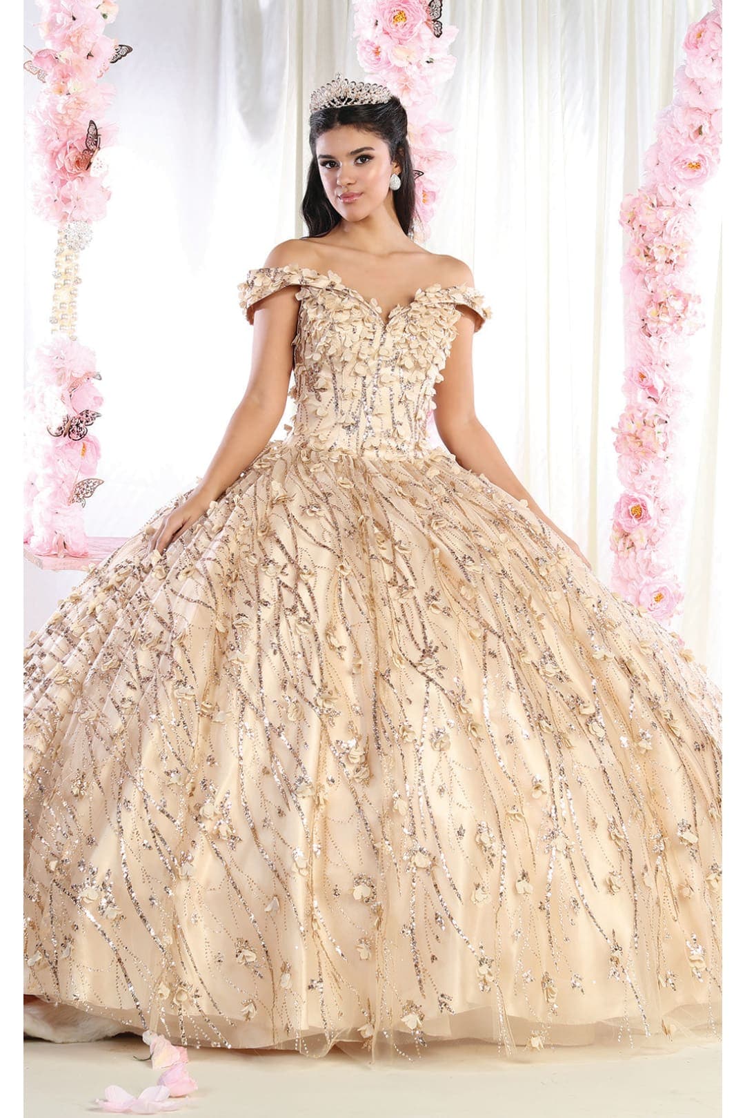 3D Floral Applique Glitter Quince Ball Gown & Plus Size