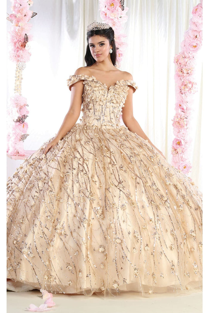 3D Floral Applique Glitter Quince Ball Gown & Plus Size