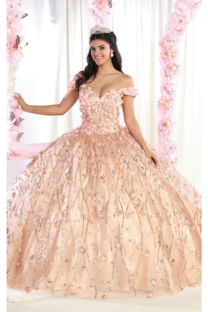 3D Floral Applique Glitter Quince Ball Gown & Plus Size