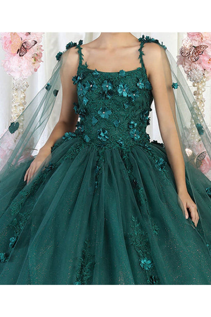 Quinceanera Dress Ball Gown Cape Sleeve 3D Floral and Plus Size