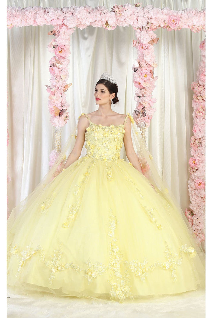 Quinceanera Dress Ball Gown Cape Sleeve 3D Floral and Plus Size