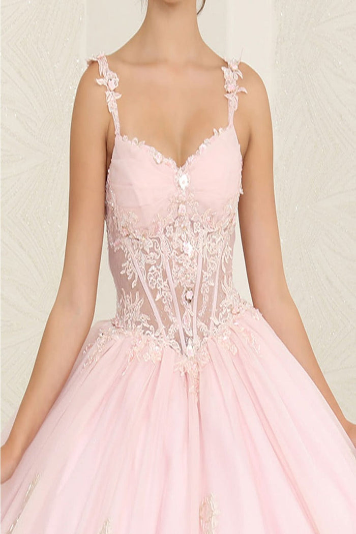 Layla K LK256 Sheer Bodice Floral Sleeveless Blush Quinceanera Gown