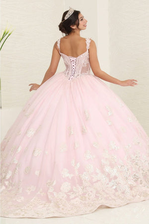 Layla K LK256 Sheer Bodice Floral Sleeveless Blush Quinceanera Gown - Dress