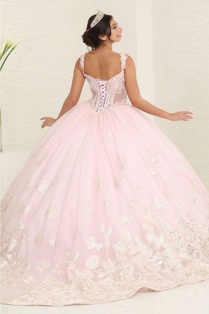 Layla K LK256 Sheer Bodice Floral Sleeveless Blush Quinceanera Gown