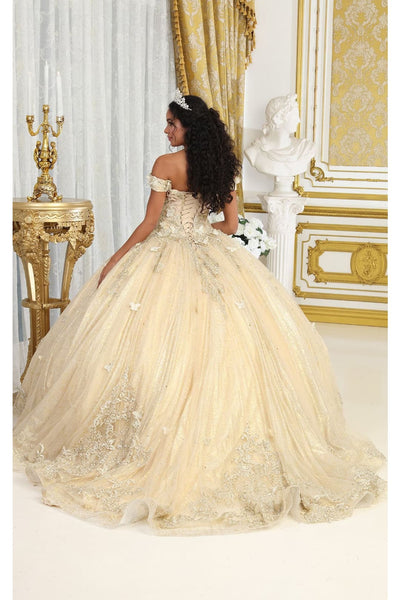 LK232 Corset Back Butterfly Applique Off Shoulder Ball Quince Dress - Dress