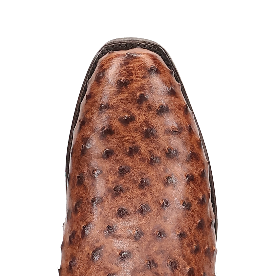 MARCO FULL QUILL OSTRICH BOOT