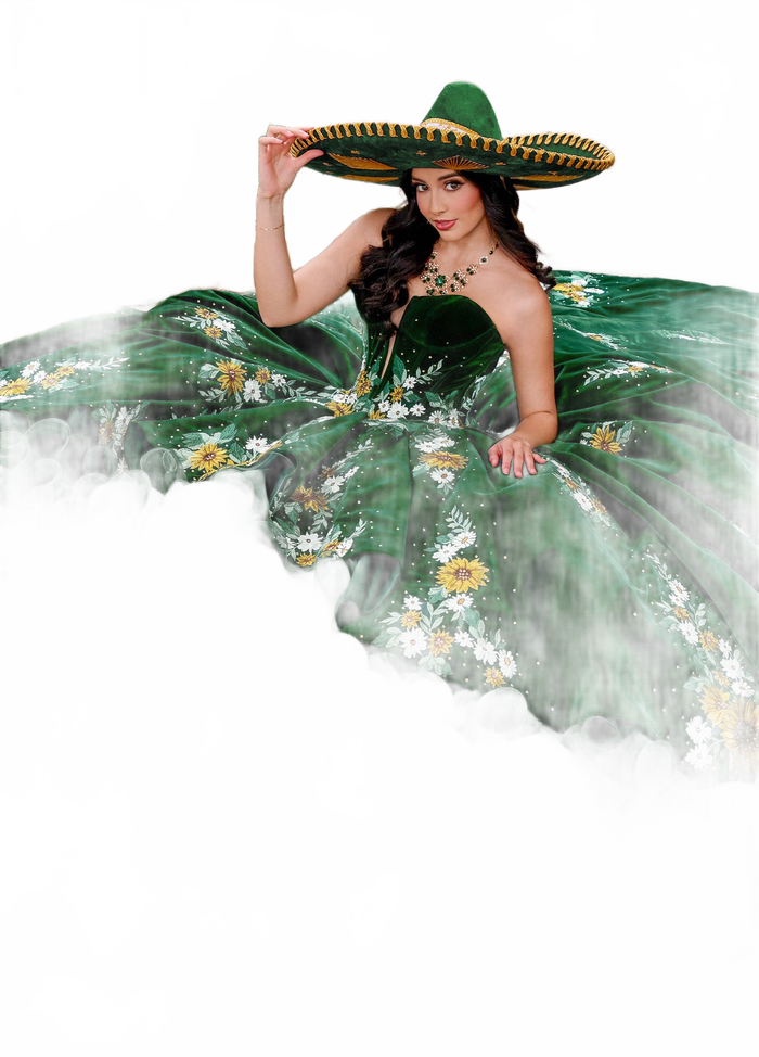 Rachel Allan RQ5005 Floral Velvet Quinceanera Dress