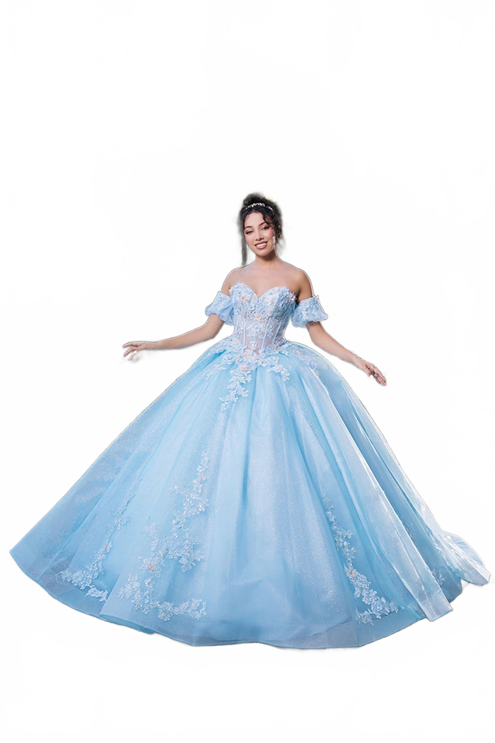 Quinceanera Dress Prom Ball Gown Floral Fitted Corset Glitter by LK245