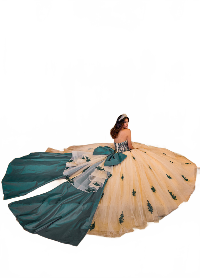Rachel Allan RQ1152 Strapless Bow Quinceanera Dress