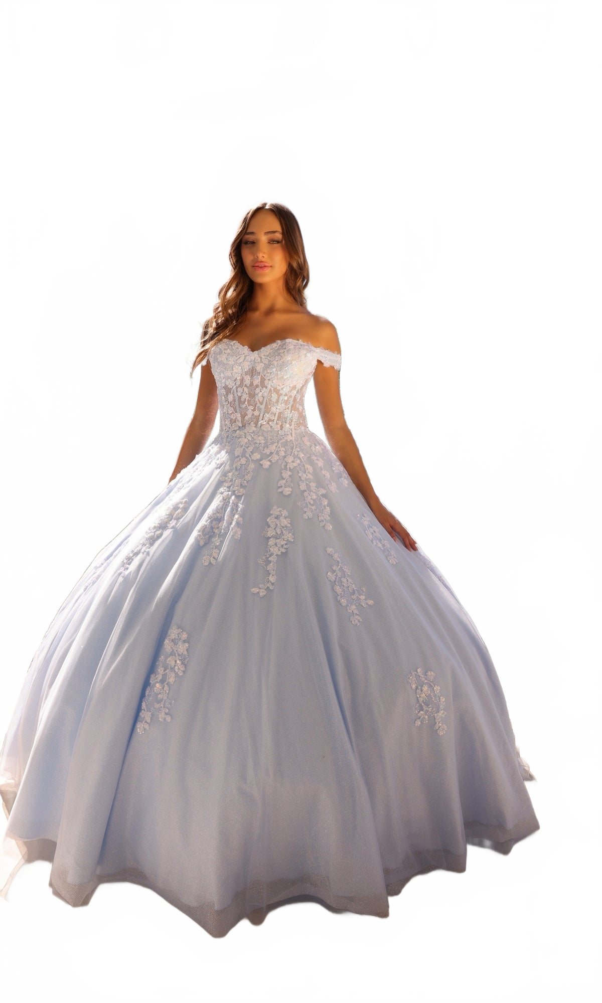 Background removed image