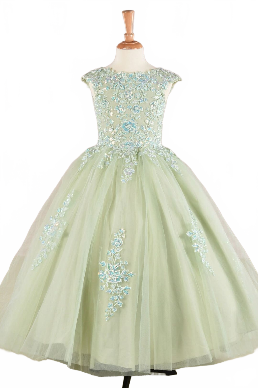 Background removed image