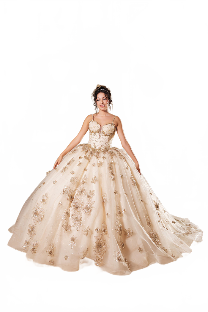 Layla K LK282 Floral Quinceañera Ball Gown with Beaded Corset Bodice