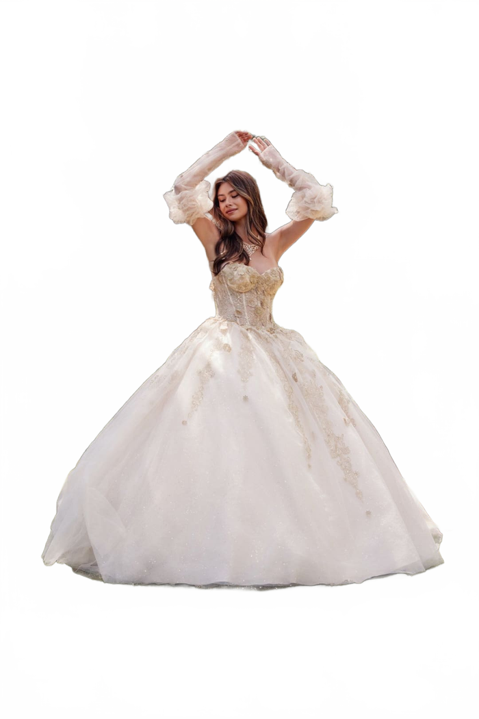 3D Floral Puff Sleeve Ball Gown by Juliet JT1465H