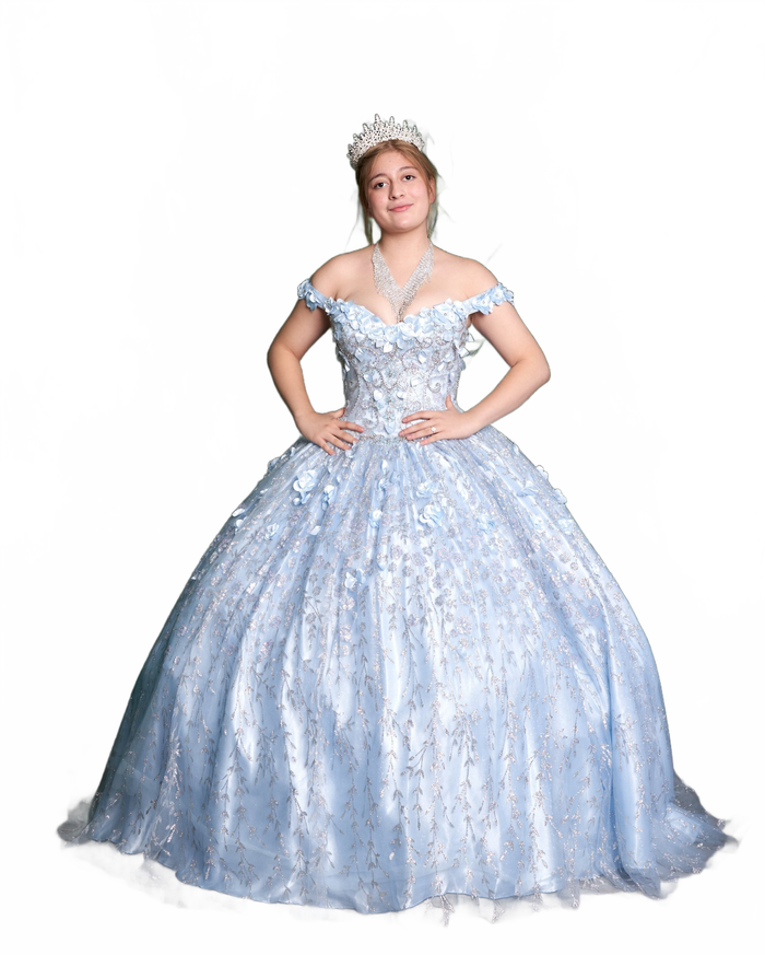 3D Floral Off Shoulder Ball Gown by Calla WB21550