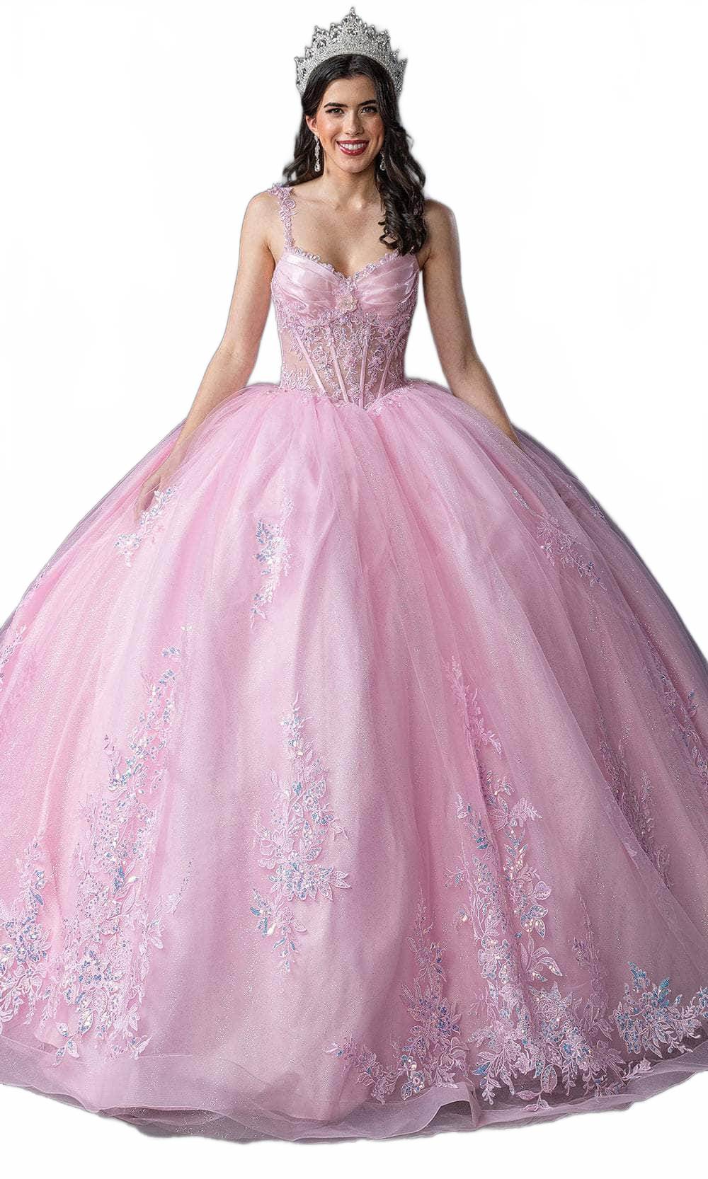 Background removed image