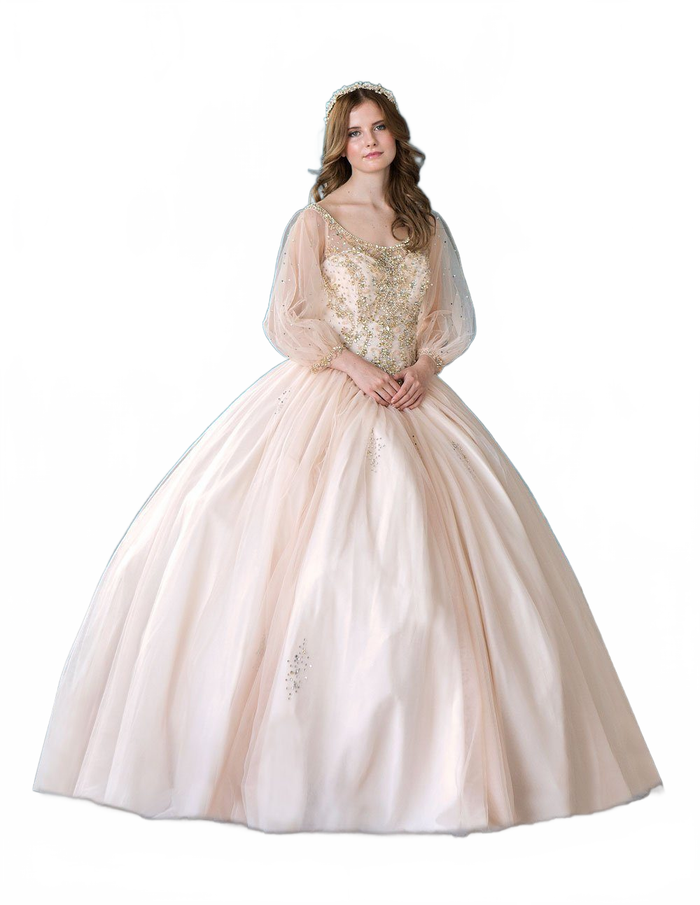 Beaded Long Sleeve Quinceanera Dress by Calla KY-71289