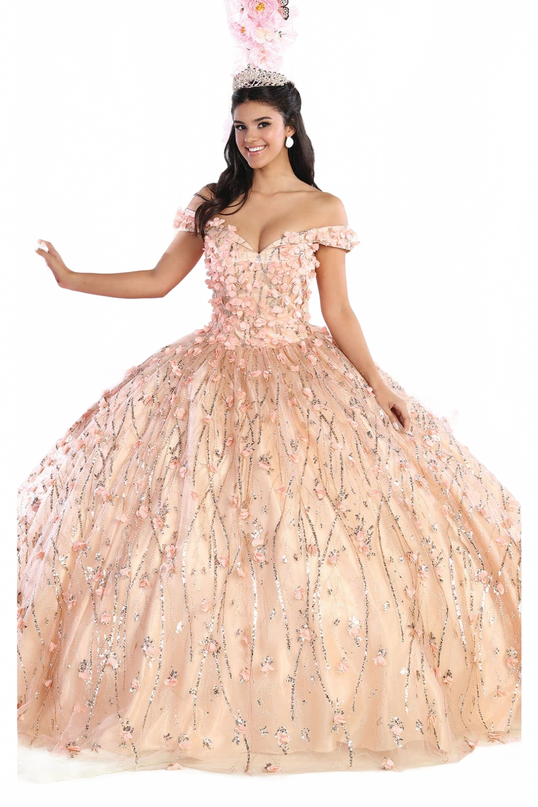 3D Floral Applique Glitter Quince Ball Gown & Plus Size