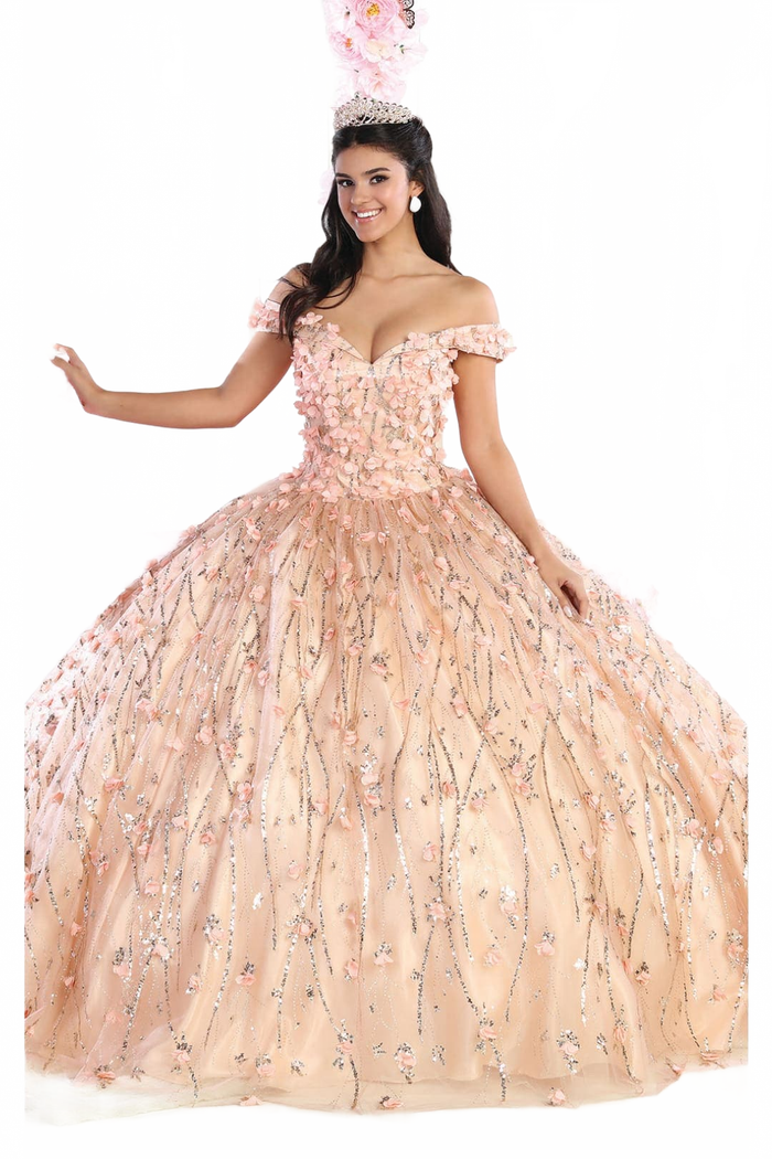 3D Floral Applique Glitter Quince Ball Gown & Plus Size